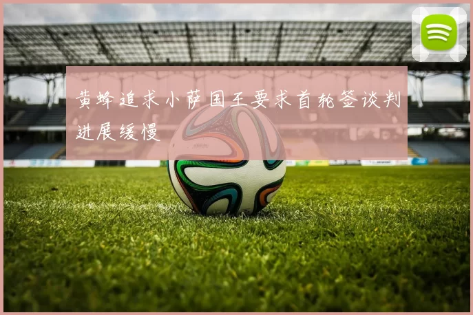 黄蜂追求小萨国王要求首轮签谈判进展缓慢